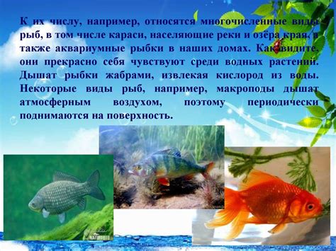 Законы физики в воде и их влияние на рыб