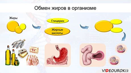 Замедленные обменные процессы