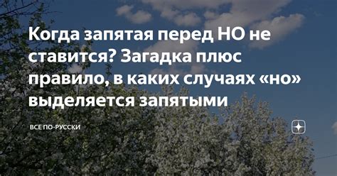 Запятая перед "но"