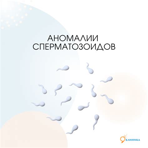 Зачатие после преодоления ОРВИ: обратимость эффектов на мужскую репродуктивную систему