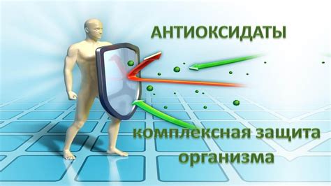 Защита организма от свободных радикалов: простые и эффективные способы