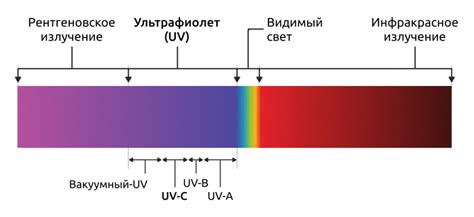 Защита от УФ-излучения в рашгарде