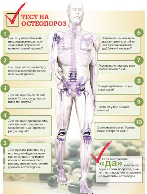 Защита от остеопороза: роль молока после 40 лет