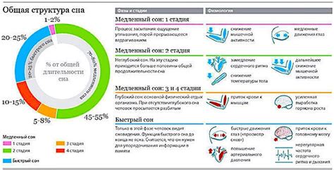 Защитные функции сна и их влияние на кожу