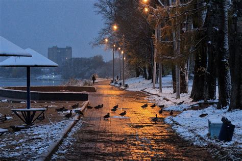 Зимняя миграция: прибытие в новые места на зиму