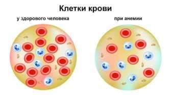 Значение гемоглобина для бега