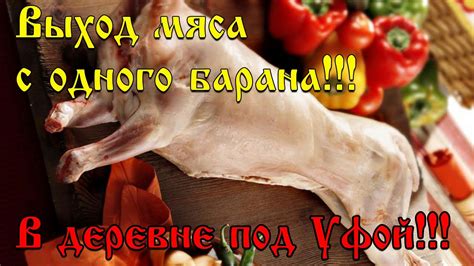 Значения снов, связанных с присутствием мяса барана