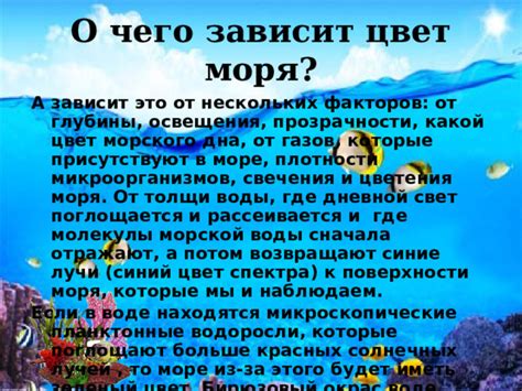 Изучение и сохранение морского цветения