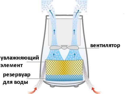 Изучение типов увлажнителей воздуха