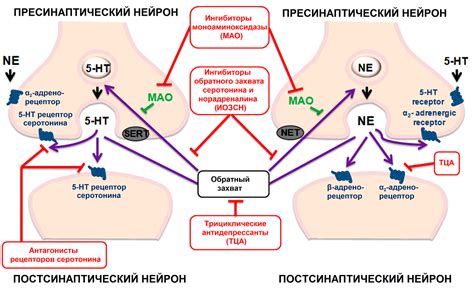 Индивидуальные отличия в восприимчивости к дрожанию рук при приеме антидепрессантов