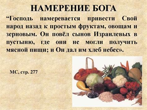 Интерпретация Библии насчет питания мясом