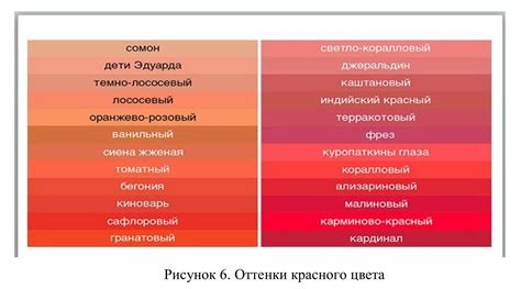 Информационная статья о символике розовых оттенков в саду