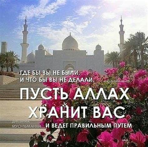 Ислам и гомофобия