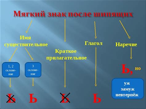 Использование мягкого знака в иностранных словах и заимствованиях