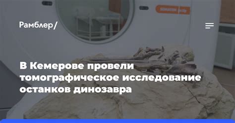 Исследование ископаемых останков