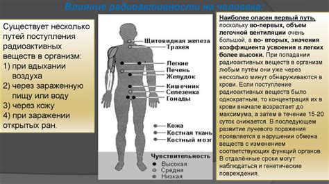 Источники заражения