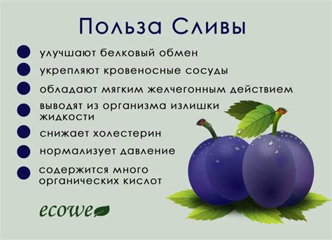 Источник витаминов и польза сливы перед сном