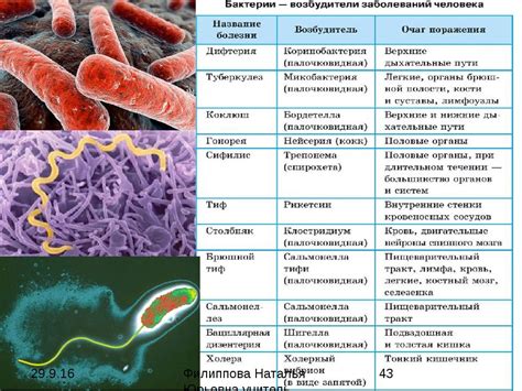 Какие бактериальные заболевания особенно опасны для учащихся 7 класса?