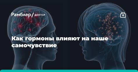 Какие гормоны влияют на подростковый организм?