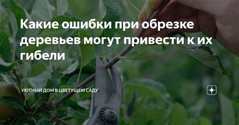 Какие проблемы могут возникнуть при неправильной обрезке листьев перцев?