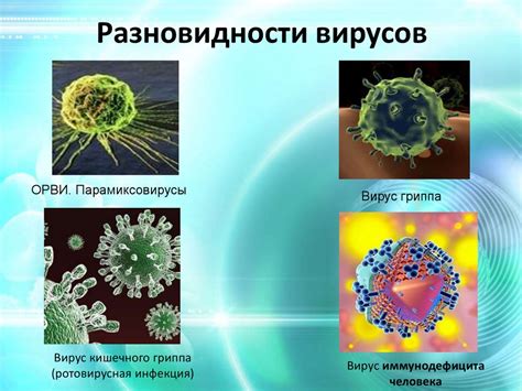 Какие разновидности вирусов ОРВИ существуют?