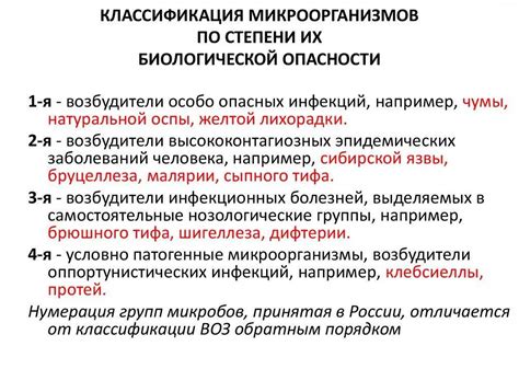 Какие риски несет одиночество Цири и в чем заключаются ее опасности?