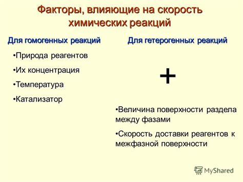 Какие условия влияют на скорость плодоношения?