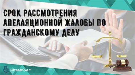 Какие шансы на успех при подаче апелляции по разводу?