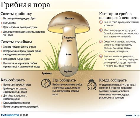 Какое время и при какой температуре запекать грибы?