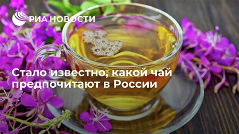 Какой чай предпочитают кошки?