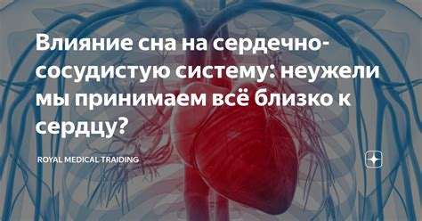 Какой эффект оказывает иван-чай на сердечно-сосудистую систему?