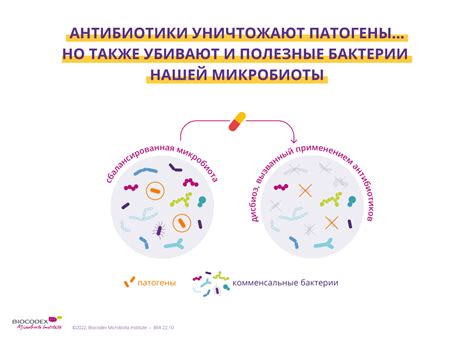 Как антибиотики влияют на физическую активность