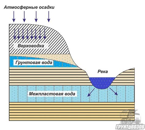 Как вода влияет на хранение и заморозку фарша?