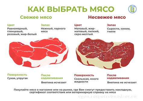 Как выбрать качественную говяжью мясо