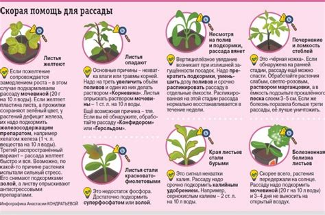 Как выбрать оптимальное время для посева кукурузных семян?