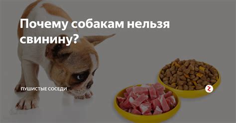 Как давать собаке отварную свинину?