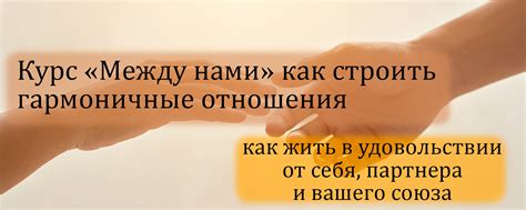 Как избегать конфликтов и строить гармоничные отношения внутри мусульманской семьи