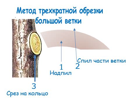 Как избежать обрезки слишком больших веток