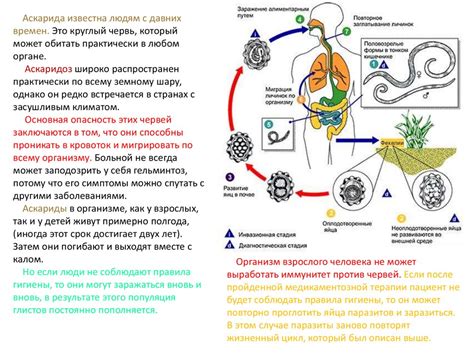 Как лечить заражение ресничек паразитическими червями?