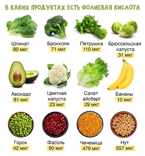 Как ли фолиевая кислота способствует развитию нервной системы плода?