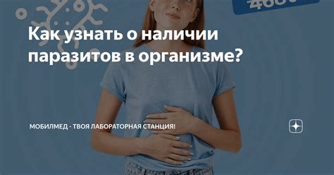 Как можно узнать о наличии паразитов в кальмарах?