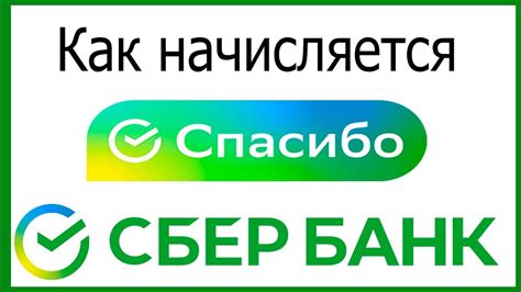 Как начисляются бонусы Спасибо от Сбербанка при покупках на Вайлдберриз