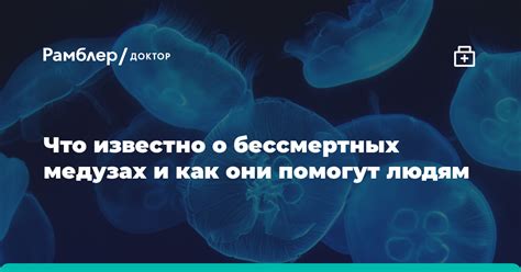 Как они могут повлиять на процесс