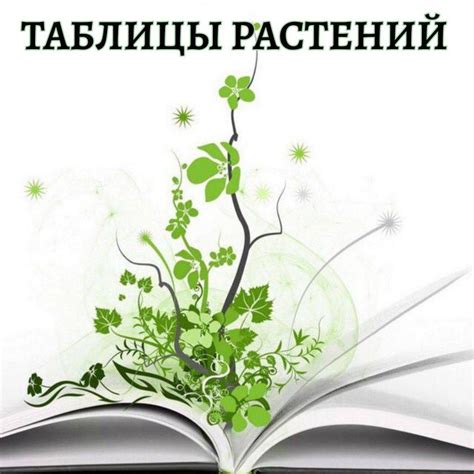 Как предотвратить потерю питательных веществ при замораживании