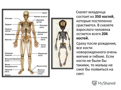 Как применять информацию о снах о скелете в земных недрах для собственного развития и внутреннего роста