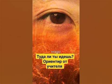 Как проверить правильность выбранного размера?