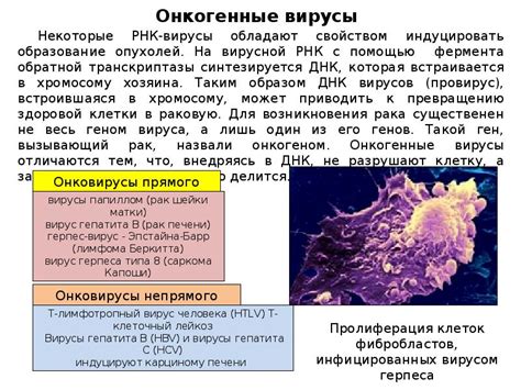 Как происходит взаимодействие вируса с клеточными компонентами?