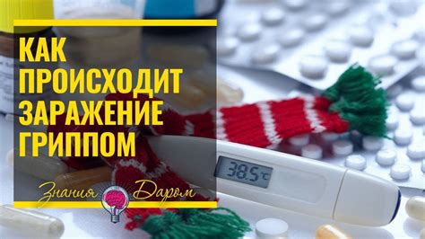 Как происходит первичное заражение организма ОРВИ?