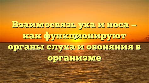 Как происходит связь между носом и ушами?