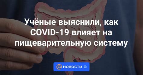 Как регулярное питье влияет на пищеварительную систему?